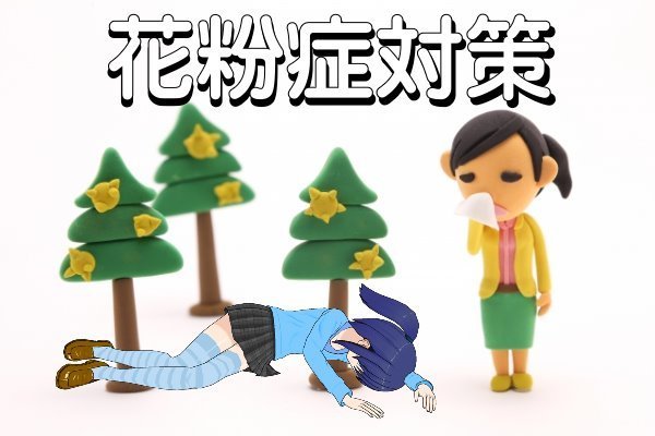 2019022501.jpg