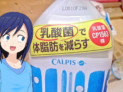 乳酸菌 カラダカルピス